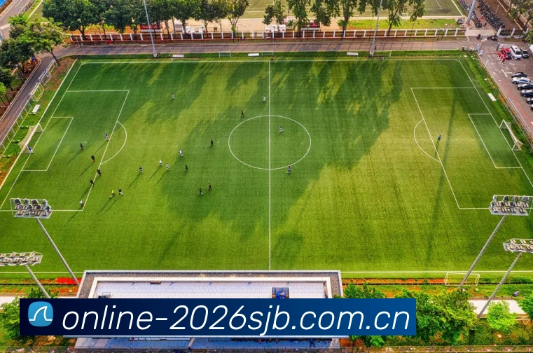 FIFA官方数据授权认证
